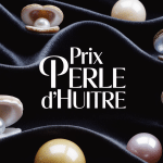 perle huitre prix différentes tailles et couleurs sur velours